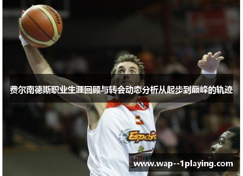 费尔南德斯职业生涯回顾与转会动态分析从起步到巅峰的轨迹 费尔南德斯职业生涯回顾与转会动态分析从起步到巅峰的轨迹