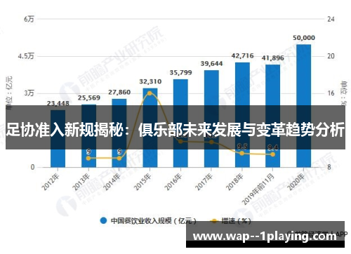 足协准入新规揭秘:俱乐部未来发展与变革趋势分析 足协准入新规揭秘:俱乐部未来发展与变革趋势分析
