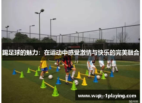 踢足球的魅力:在运动中感受激情与快乐的完美融合 踢足球的魅力:在运动中感受激情与快乐的完美融合