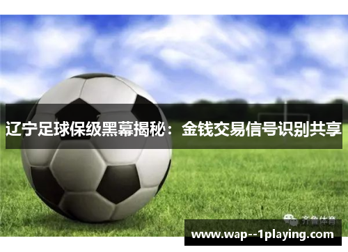 辽宁足球保级黑幕揭秘:金钱交易信号识别共享 辽宁足球保级黑幕揭秘:金钱交易信号识别共享