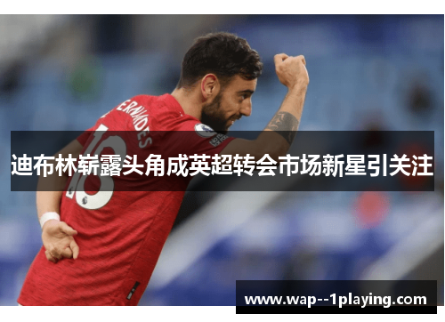 迪布林崭露头角成英超转会市场新星引关注