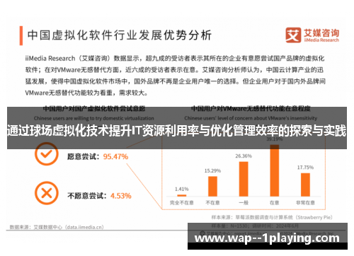 通过球场虚拟化技术提升IT资源利用率与优化管理效率的探索与实践